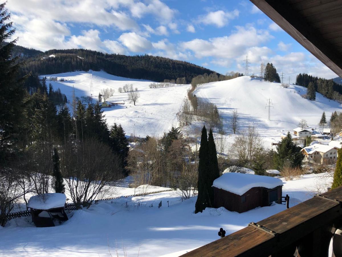 Apartment Fam. Zappe Steinhaus am Semmering Kültér fotó